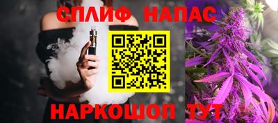 гидра Гусев