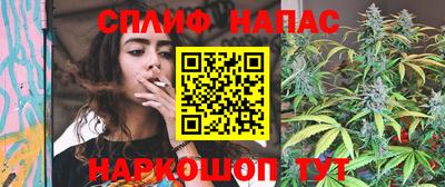 гашик Гусь-Хрустальный