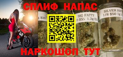 гашик Гусь-Хрустальный