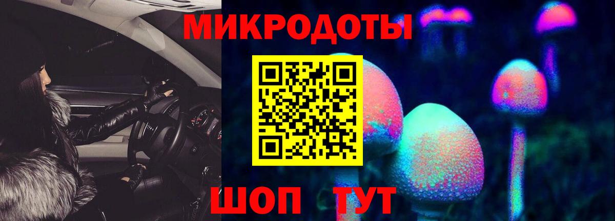 Галлюциногенные грибы Psilocybe Надым